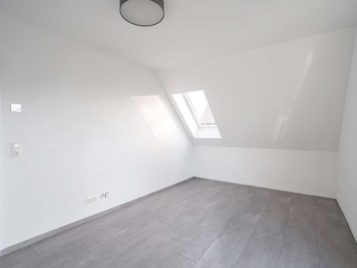 Zimmer1.1
