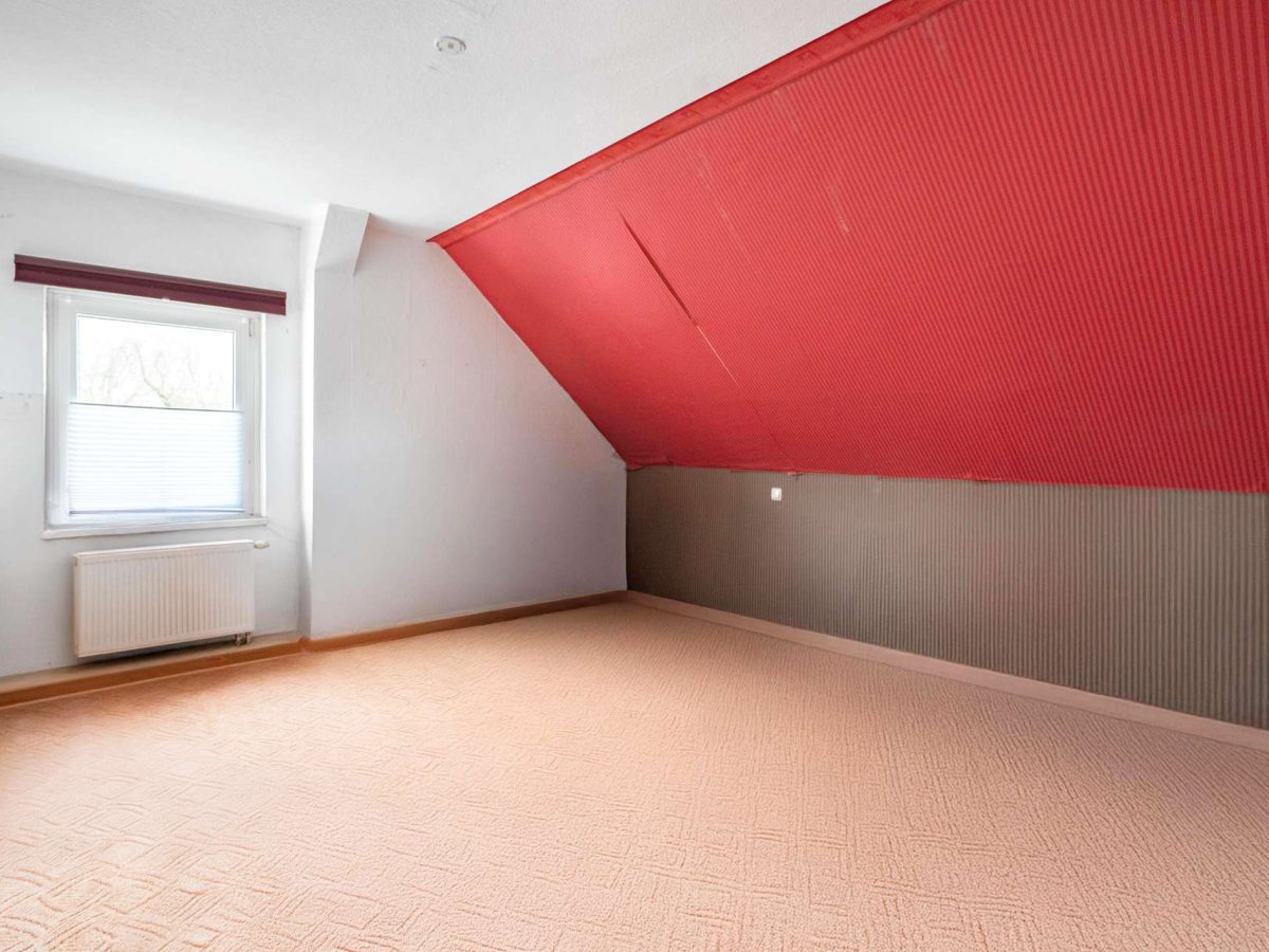 Zimmer3.1
