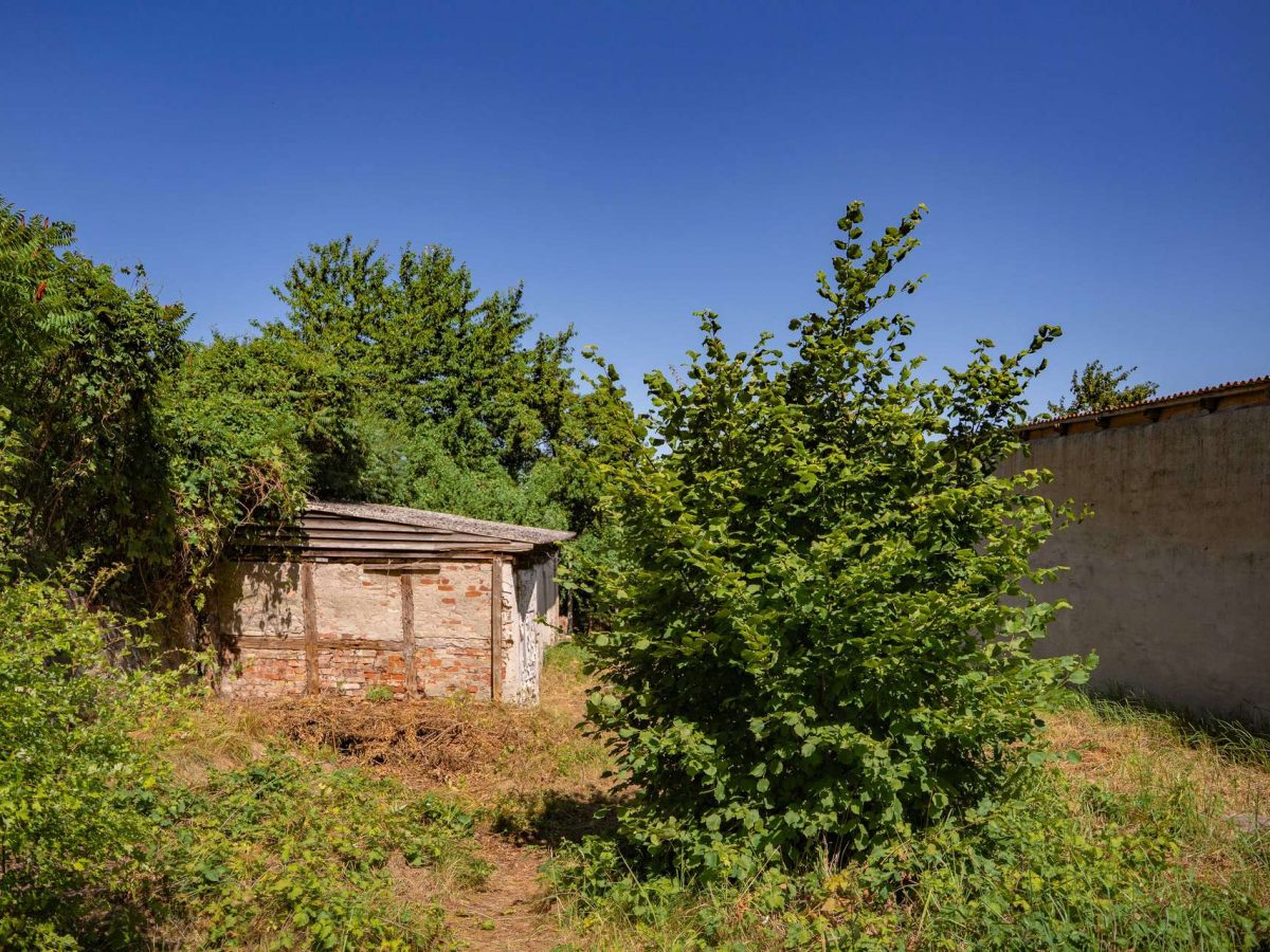 Garten & Schuppen